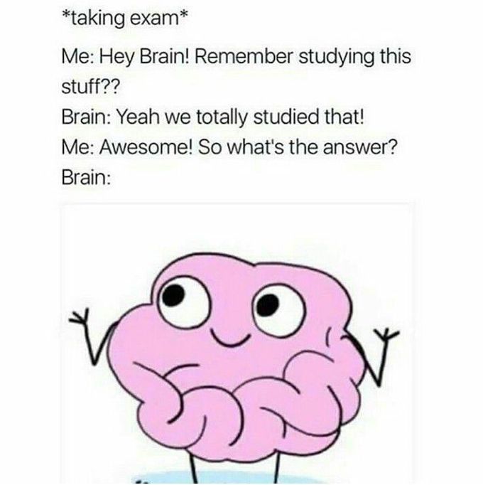 STUPID BRAIN 😂