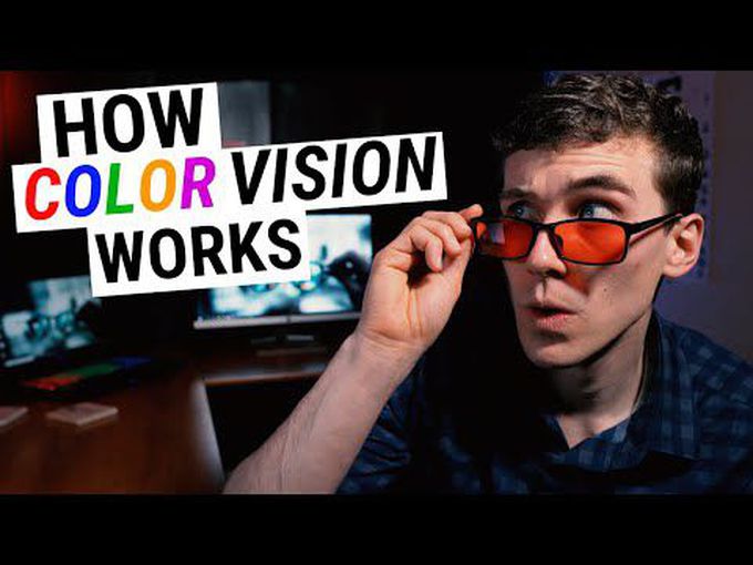 Special senses:
Color vision and color blindness