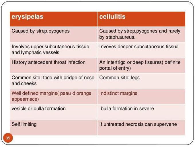 Erysipelas and cellulitis