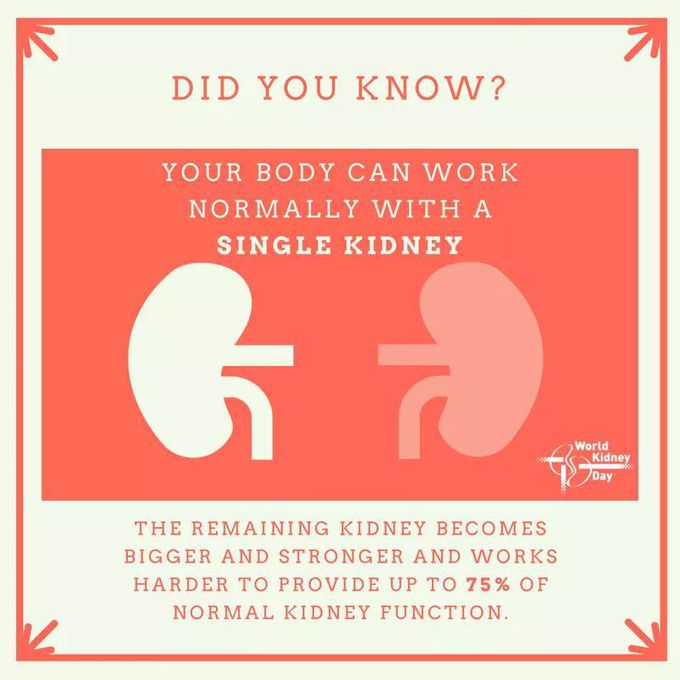 Single kidney