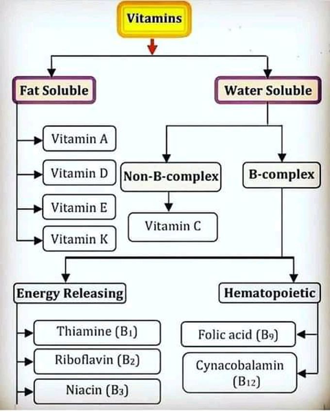 Information about vitamins