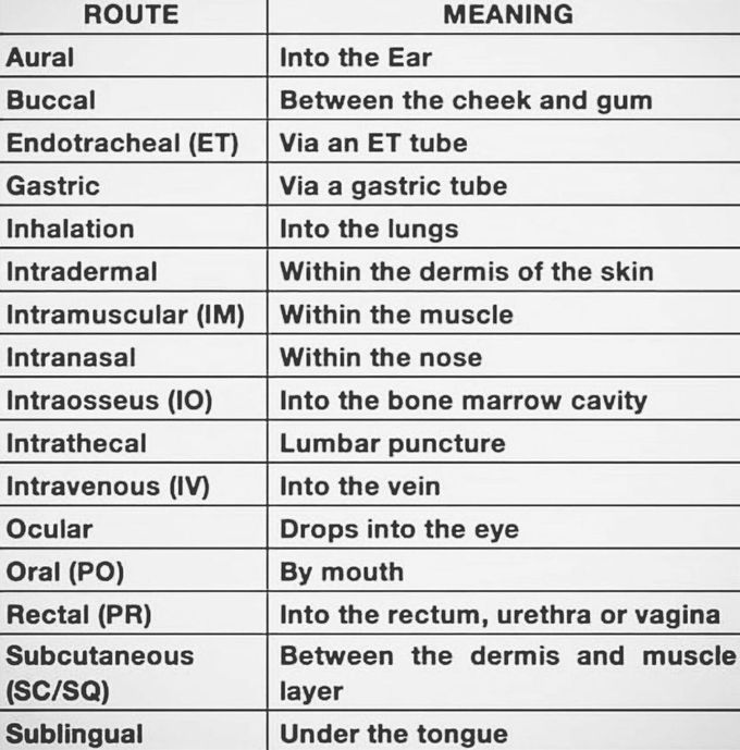 Pharmacological routes of Administration