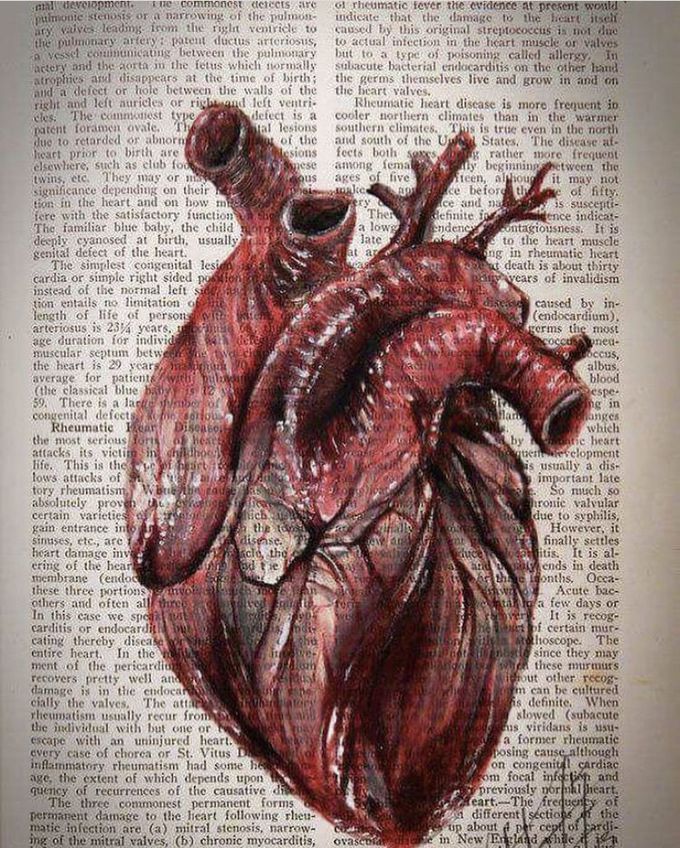 Human Heart