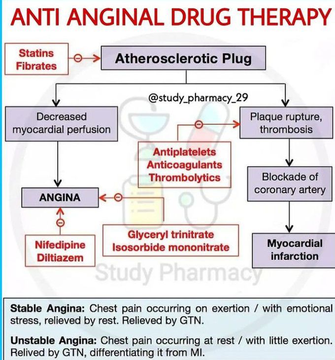 Anti anginal drugs