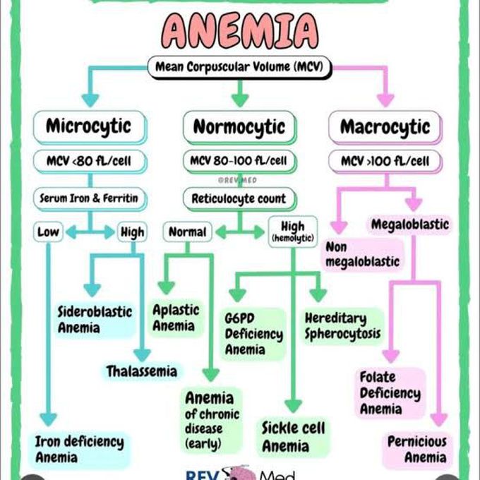 Anemia Classification