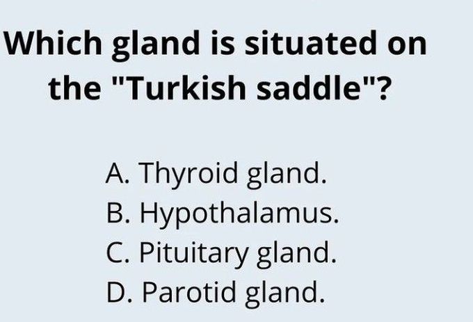 Turkish saddle