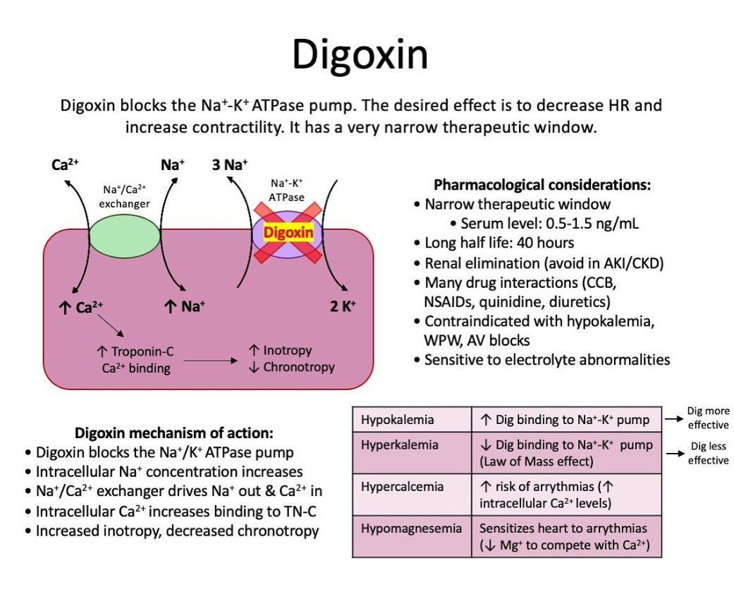 Digoxin - MEDizzy