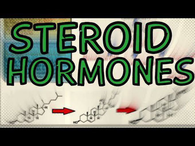 Introduction to Steroid hormones