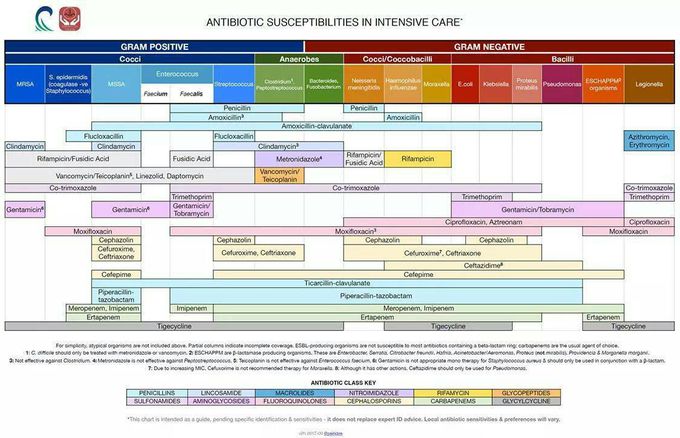 Antibiotic 🎉