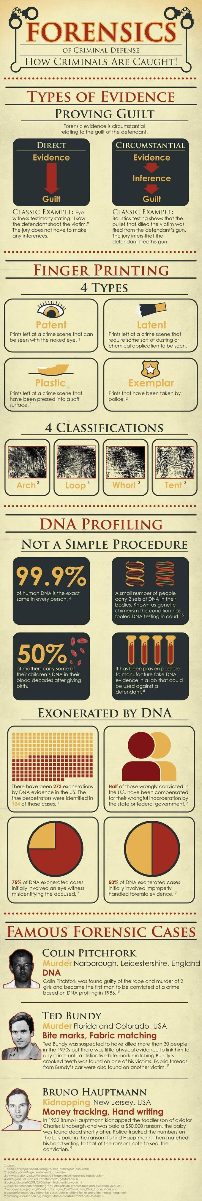 The Forensics of Criminal Defense Cases