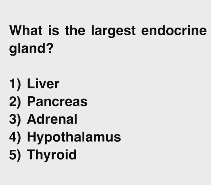 What is the largest endocrine gland?