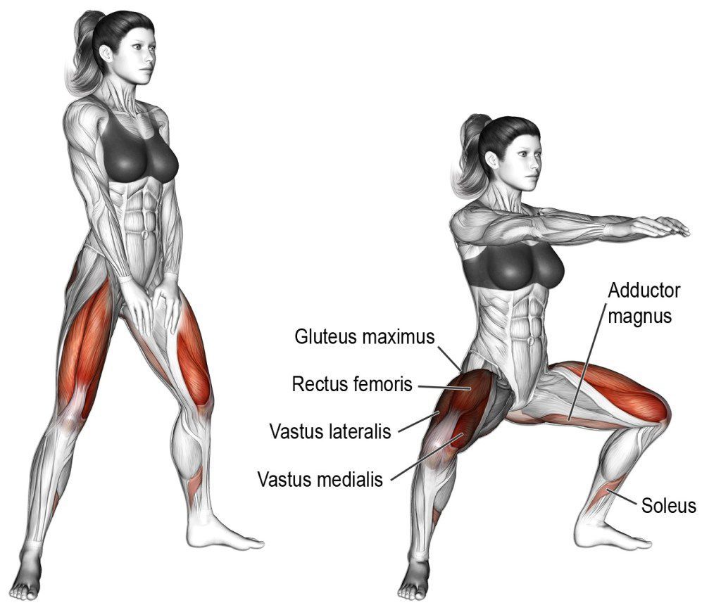 Rectus femoris best sale muscle exercises