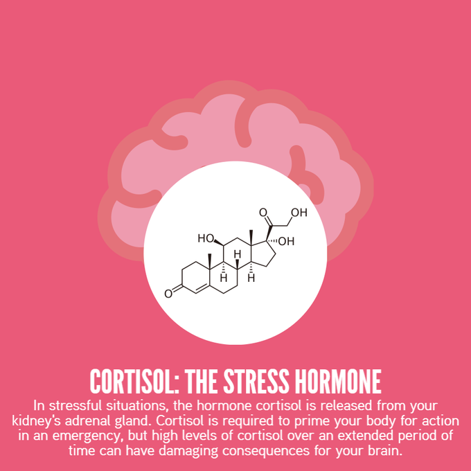 Stress hormones