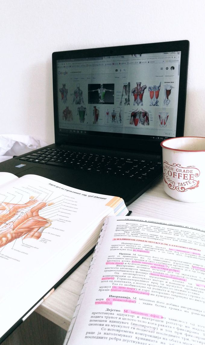 Anatomy