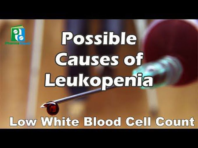 Introduction to Leukopenia