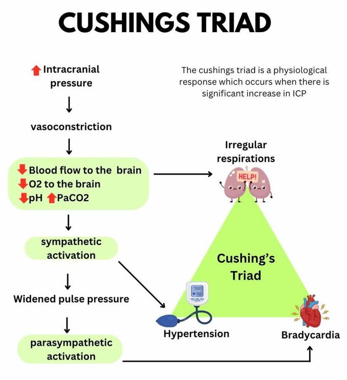 Cushings Triad