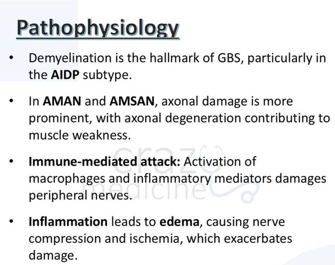 Guillain Barre Syndrome XI