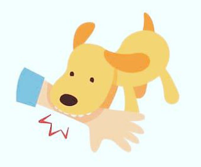 DOG BITE
