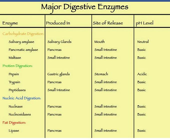 Digestive enzymes