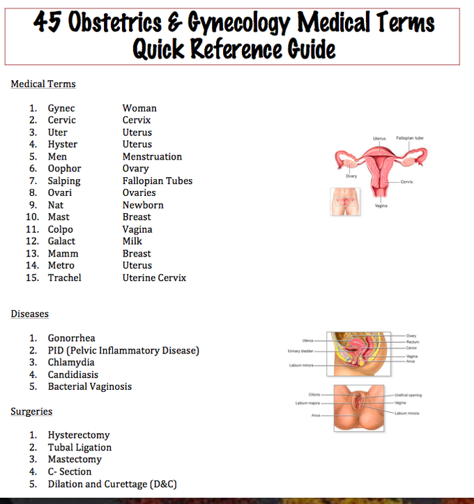 Gynecology medical terms