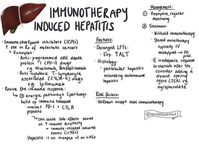 Immunotherapy indiced hepatitis