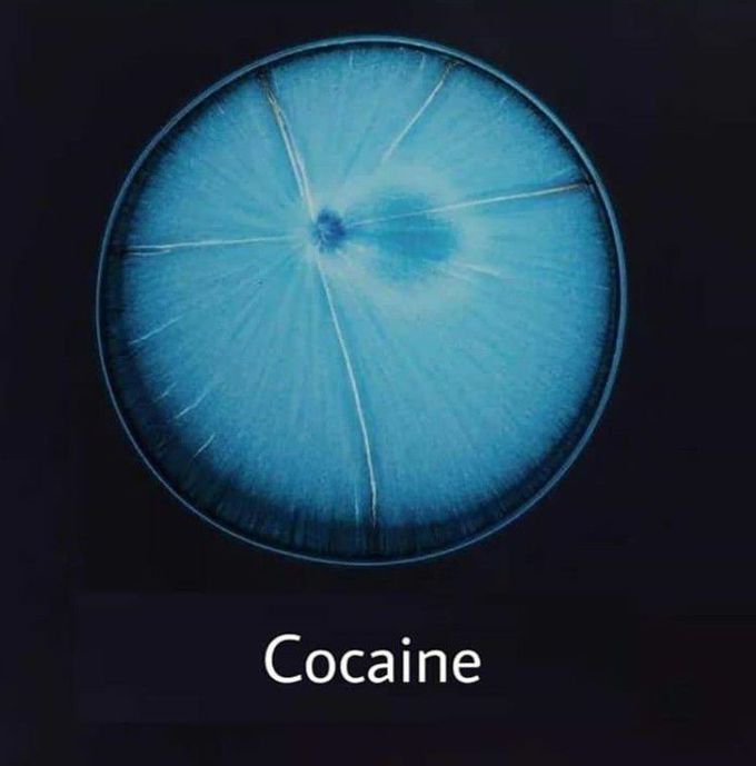Under microscope