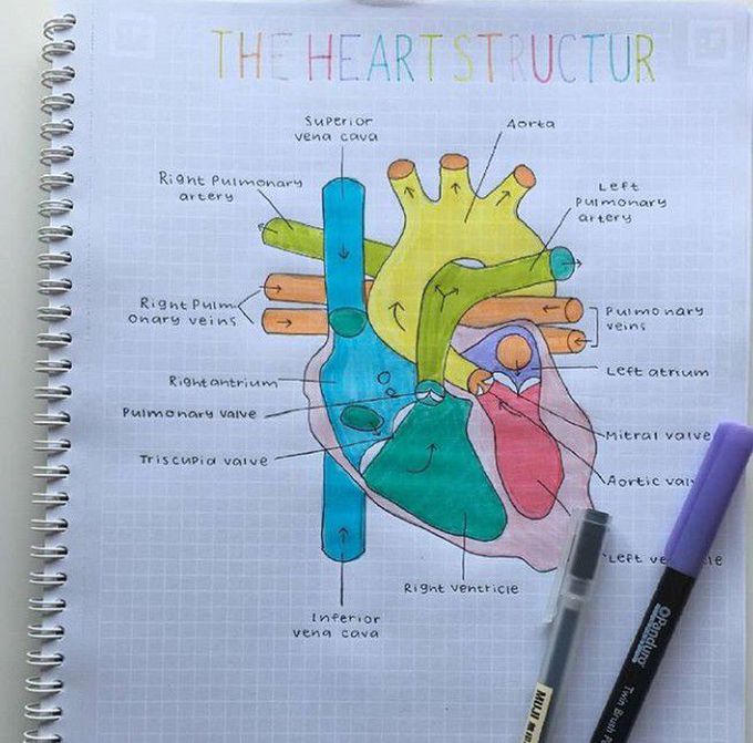 Structure of ♥️