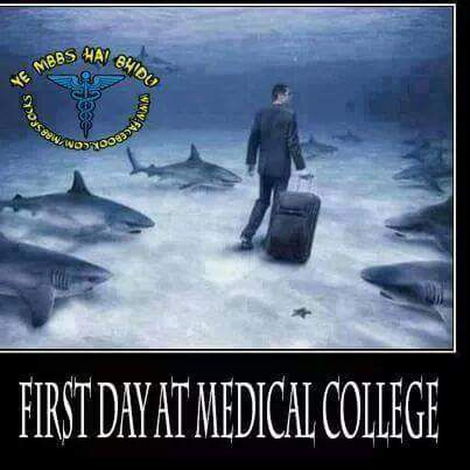 Medical school, where you just see your real life