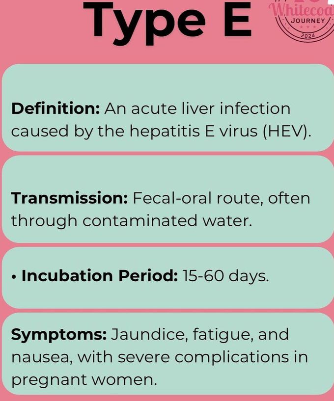 Type E Hepatitis