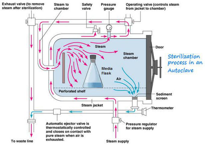 Autoclaving