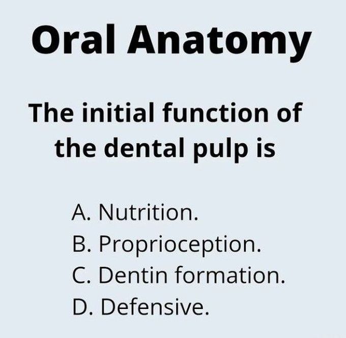 Dental pulp- function
