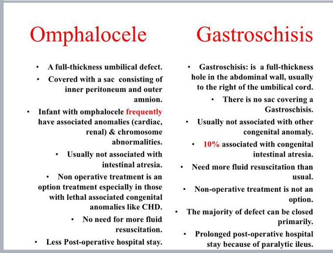 Omphalocele and gastroschisis