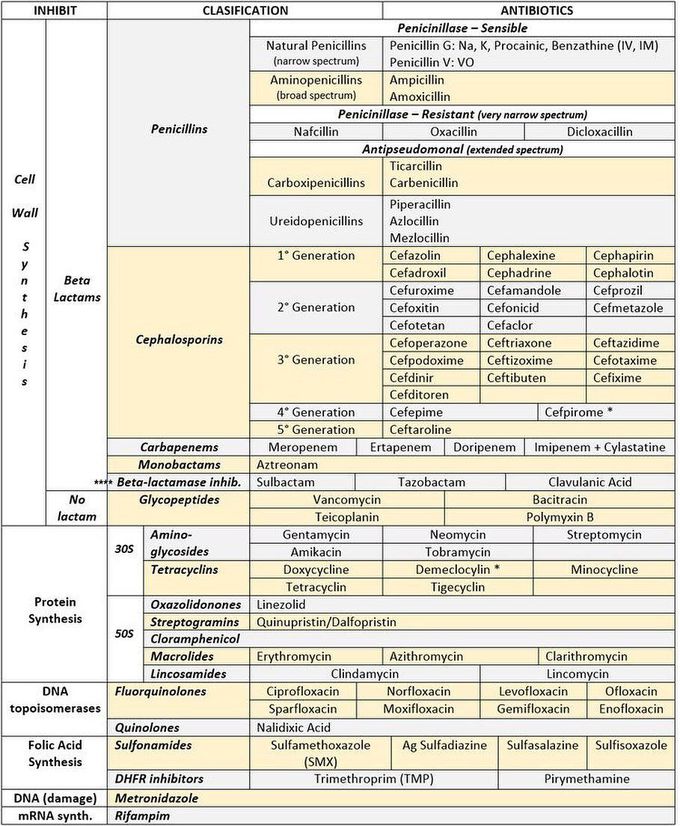 Antibiotics summarized
