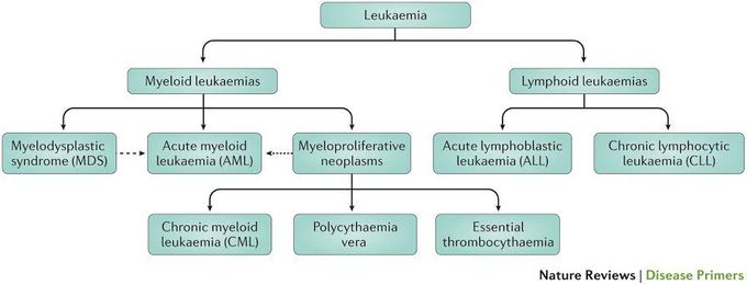 Leukemia classification