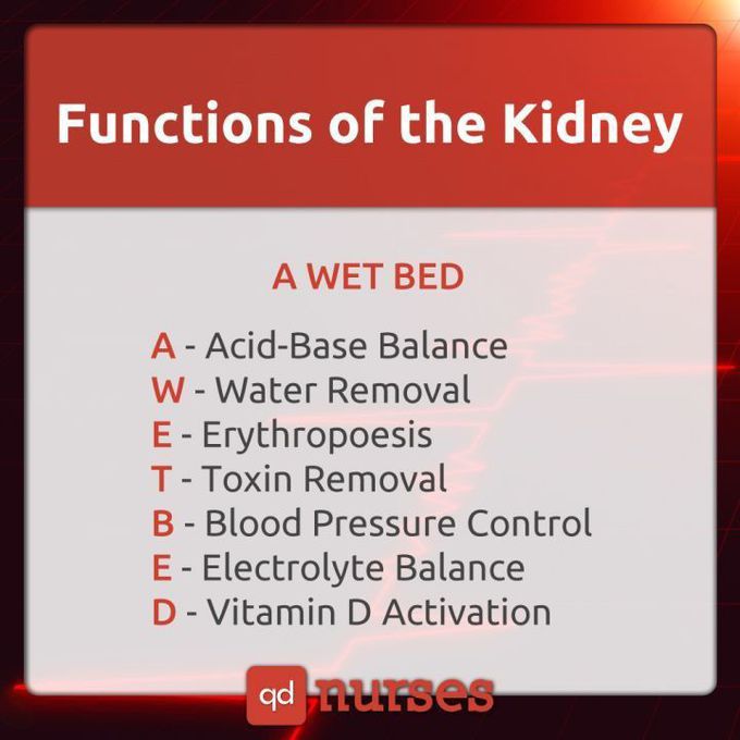 Kidney function med menomics