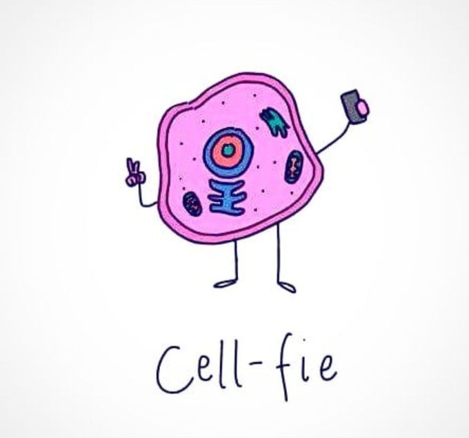 Selfie of cell