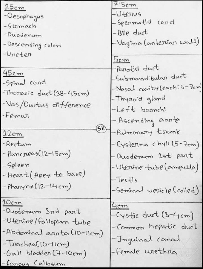 Measurements