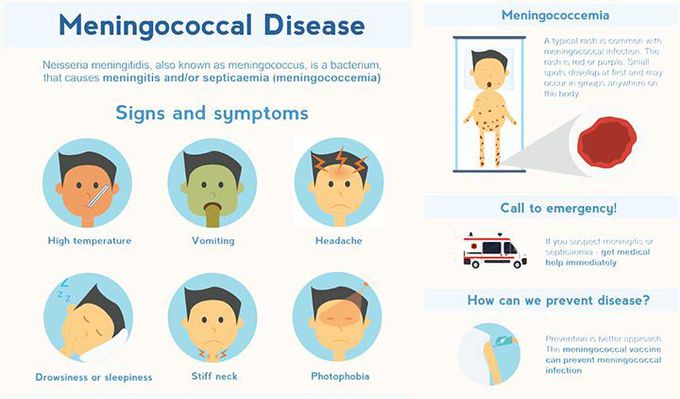 Symptoms of Meningococcal Disease