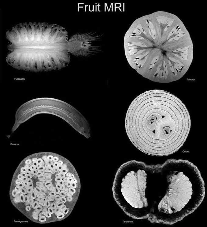 MRI cross-sectional images of fruits and vegetables!