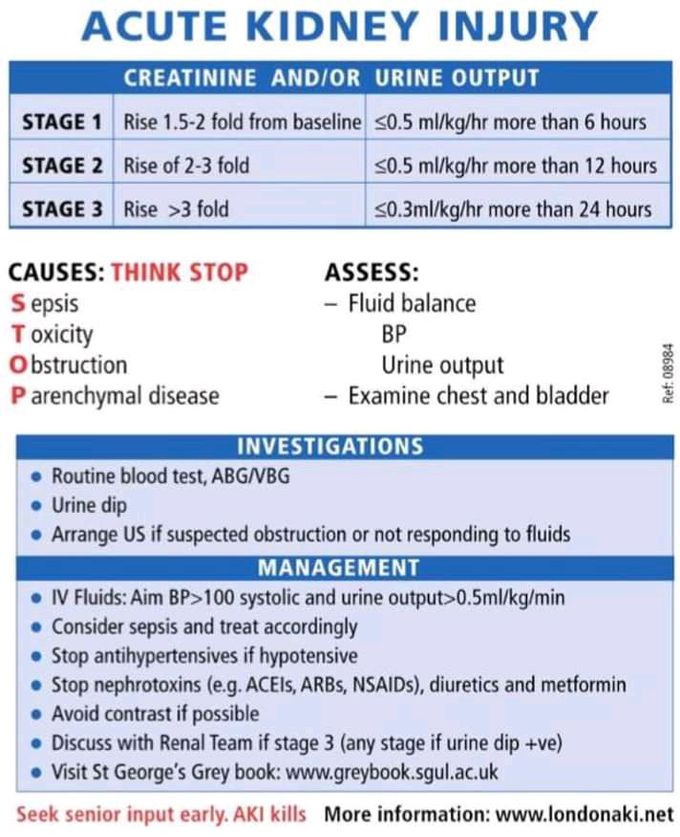 Acute Kidney Injury Diagnosis And Treatment