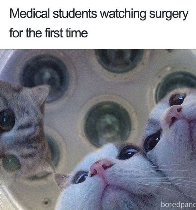 General