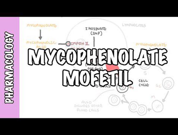 Mycophenolate Mofetil: Overview