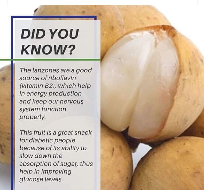 Lanzones and it's health benefits!