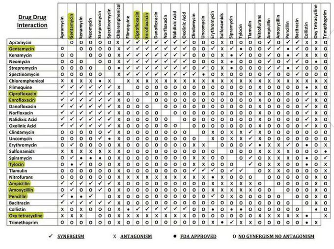 Drug-Drug interaction