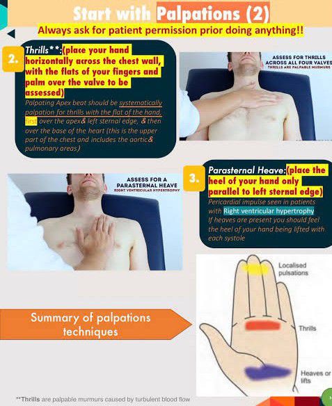 Palpation of Heart - MEDizzy