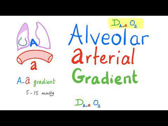 Alveolar-Arterial Gradient | (A-a) Gradient | Pulmonary Medicine