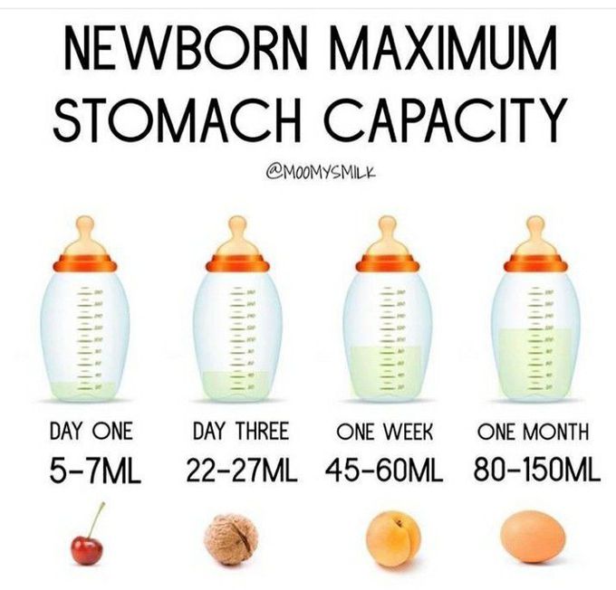 Newborn max stomach capacity