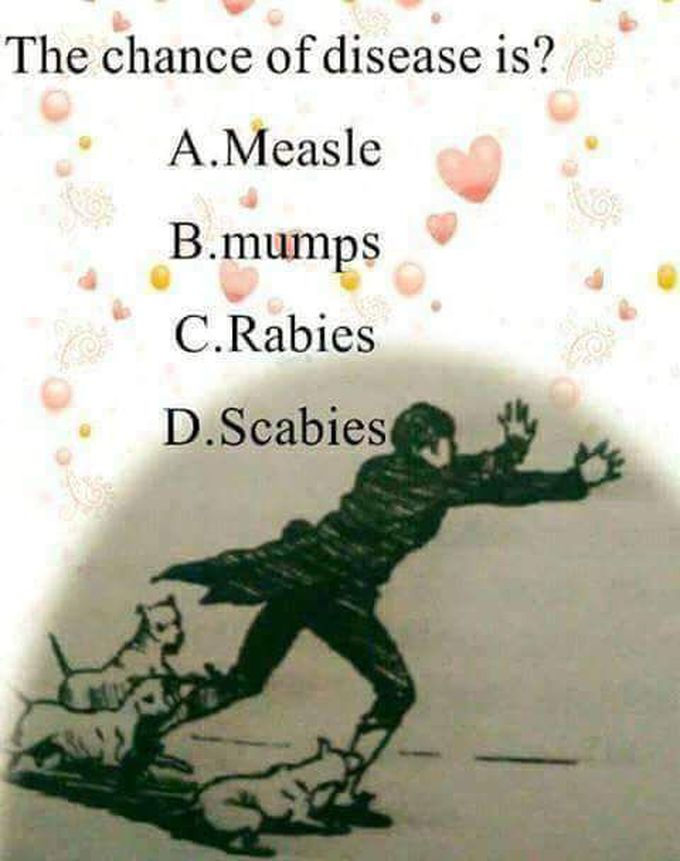 Every body knows the answer.