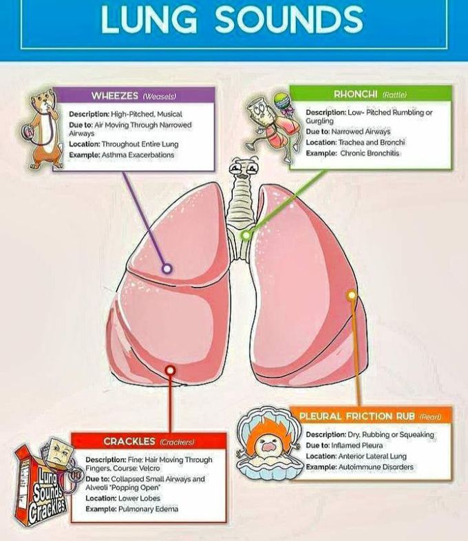 LUNG SOUNDS