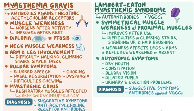 Neuromuscular junction diseases - MEDizzy